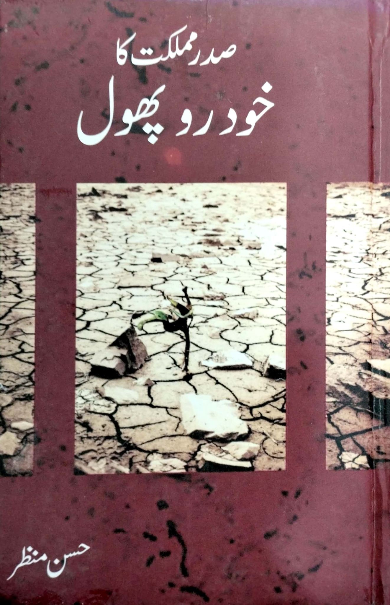 SADAR E MUMLIKAT KA KHUD ROU PHOOL