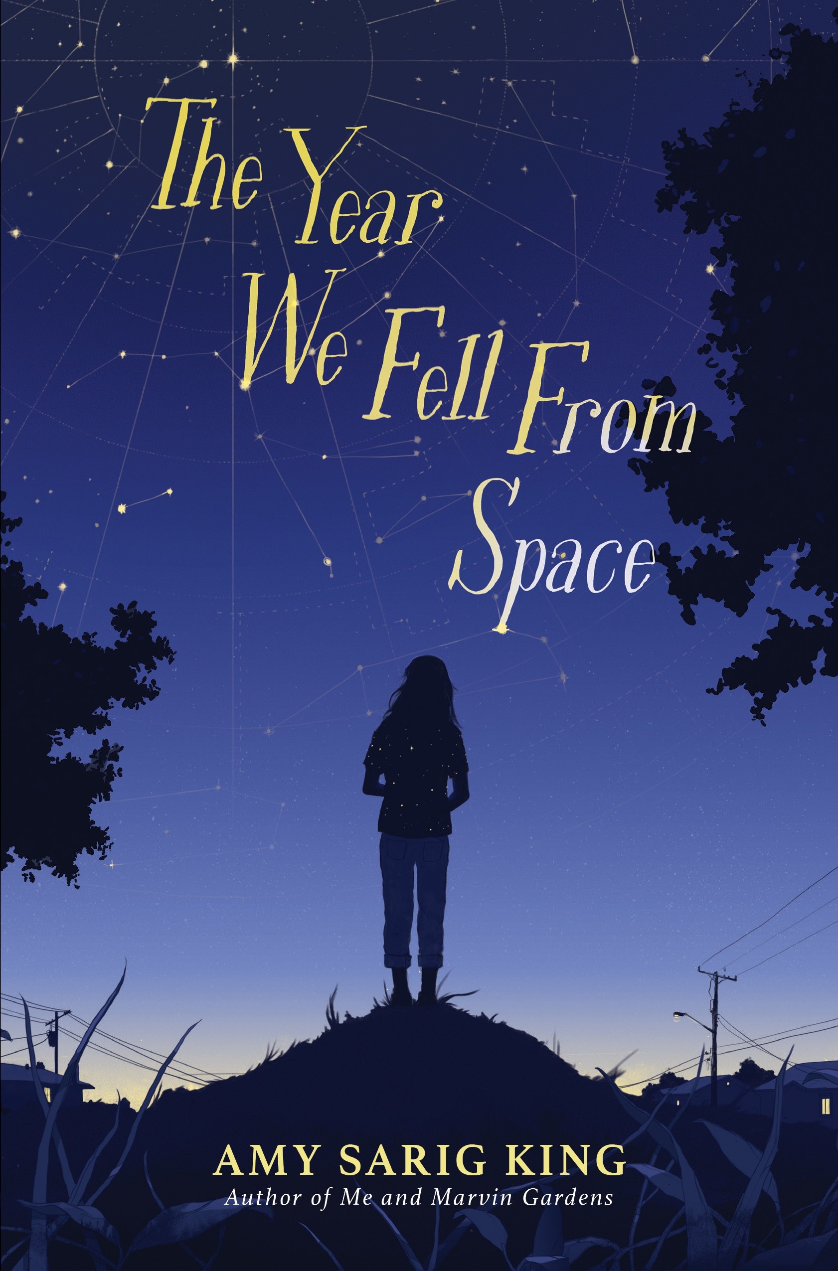 THE YEAR WE FELL FROM SPACE