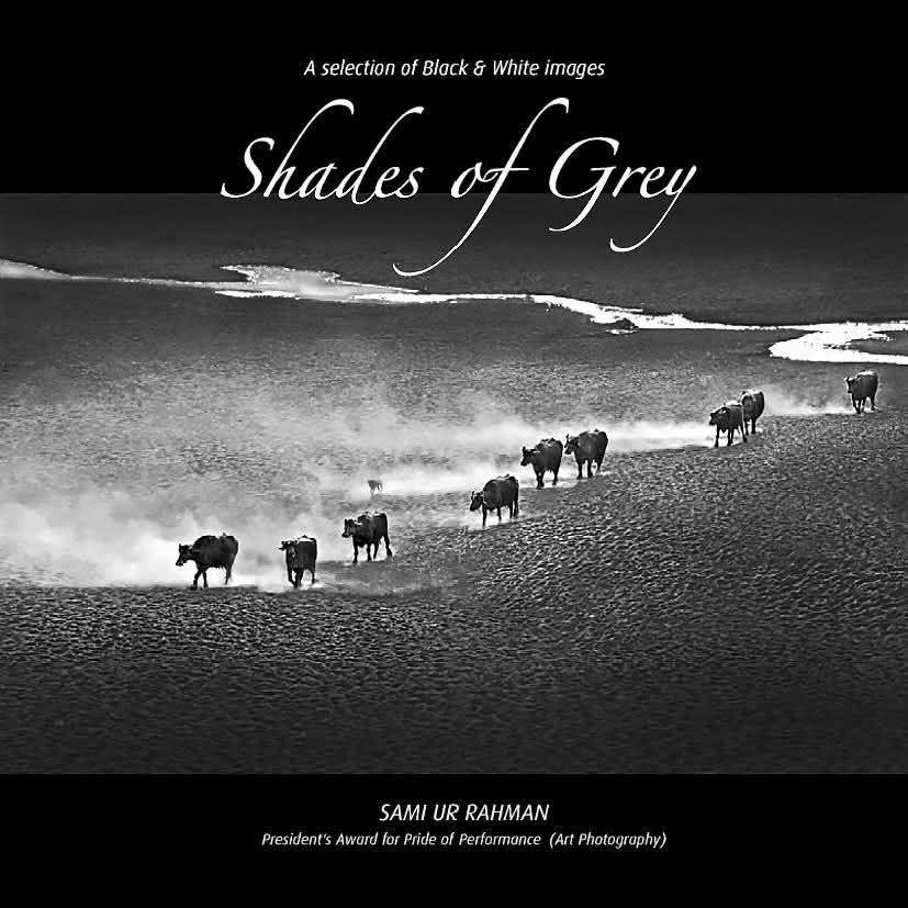 SHADES OF GREY