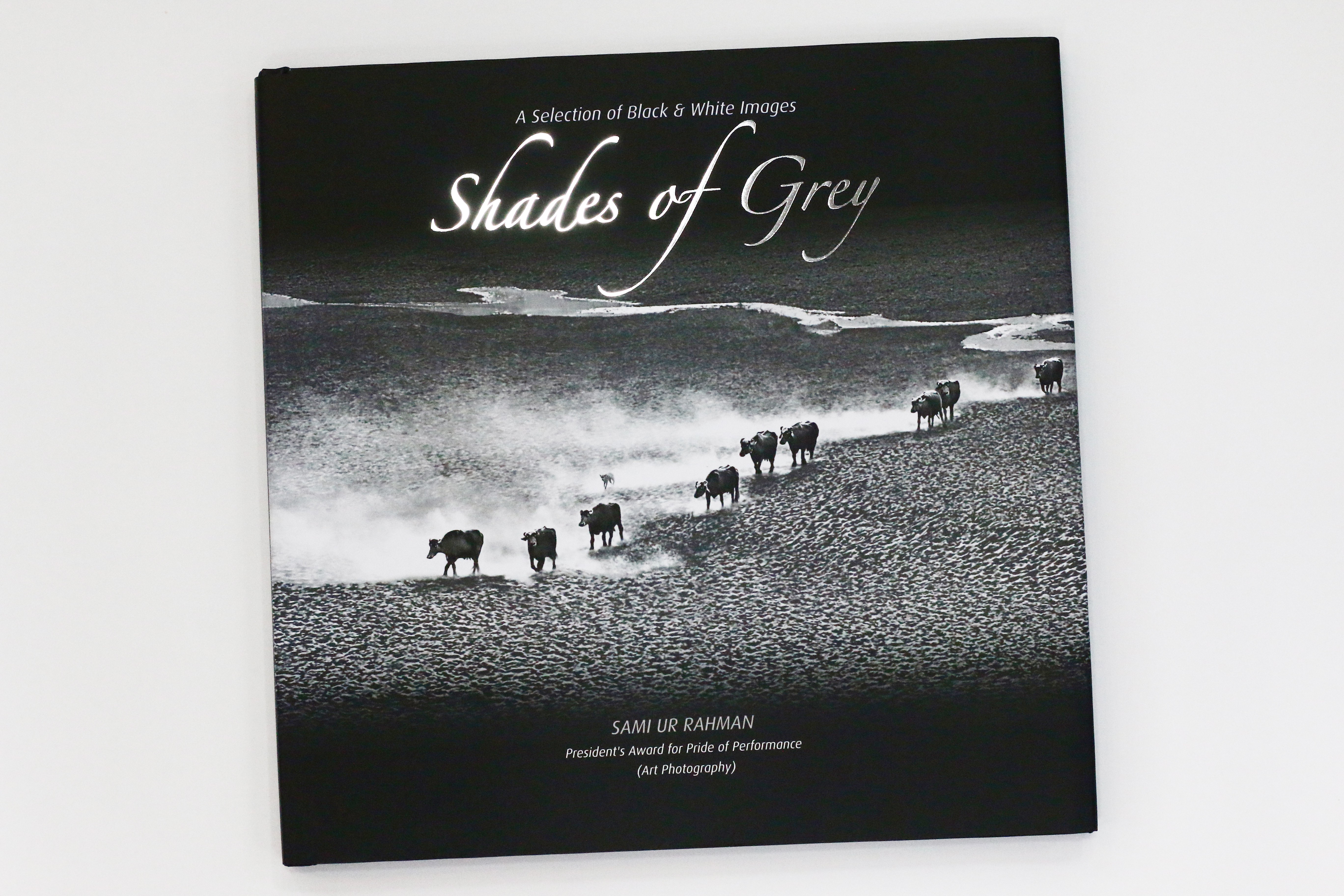 SHADES OF GREY