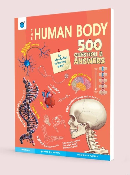 HUMAN BODY - 500 QUESTIONS AND ANSWERS