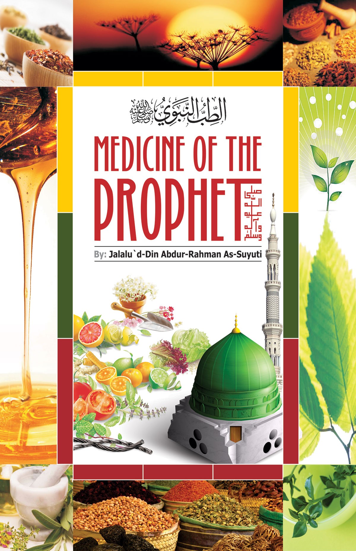 MEDICINE OF THE PROPHET (TIB-E-NABVI)