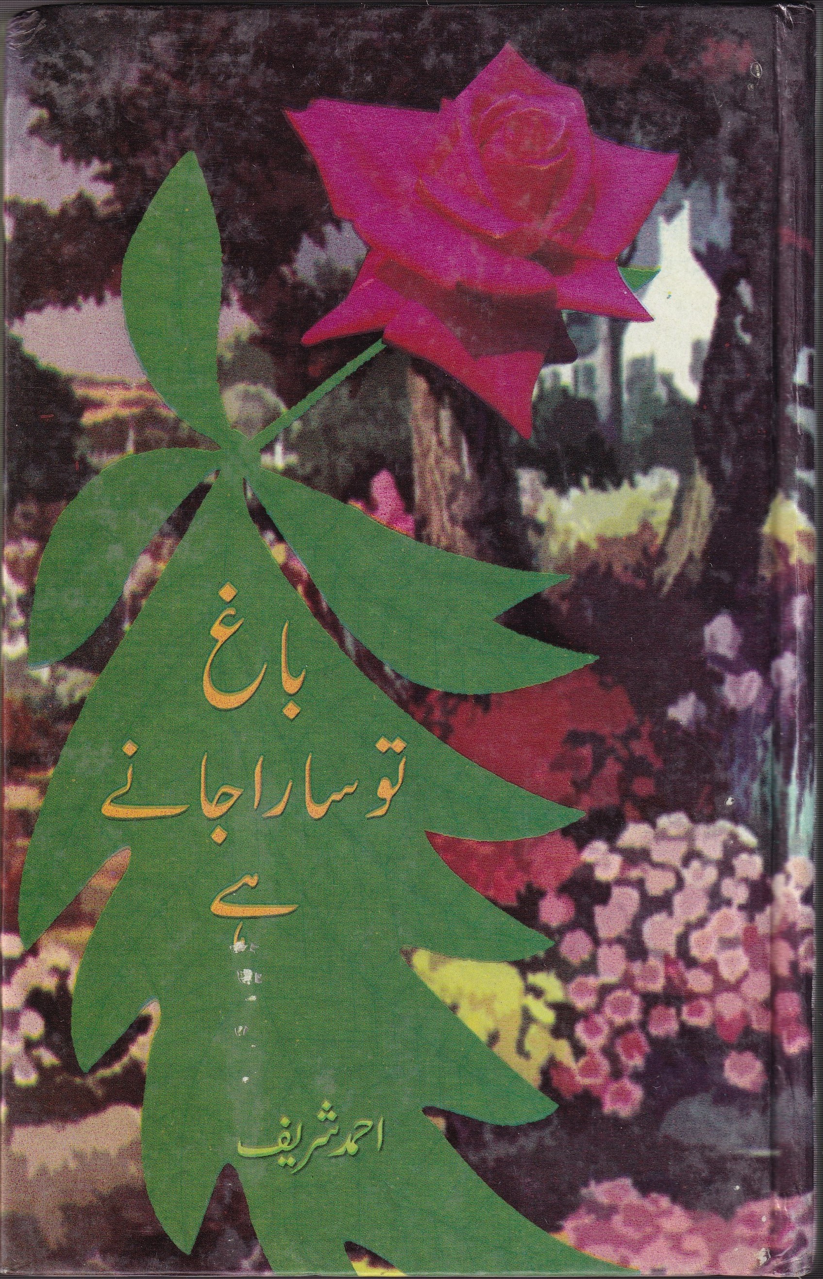BAGH TO SARA JANEY HAI