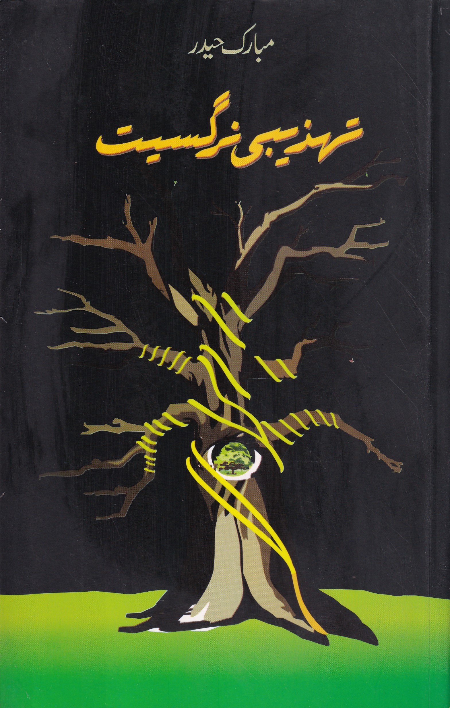 TEHZEEBI NARGASIYAT
